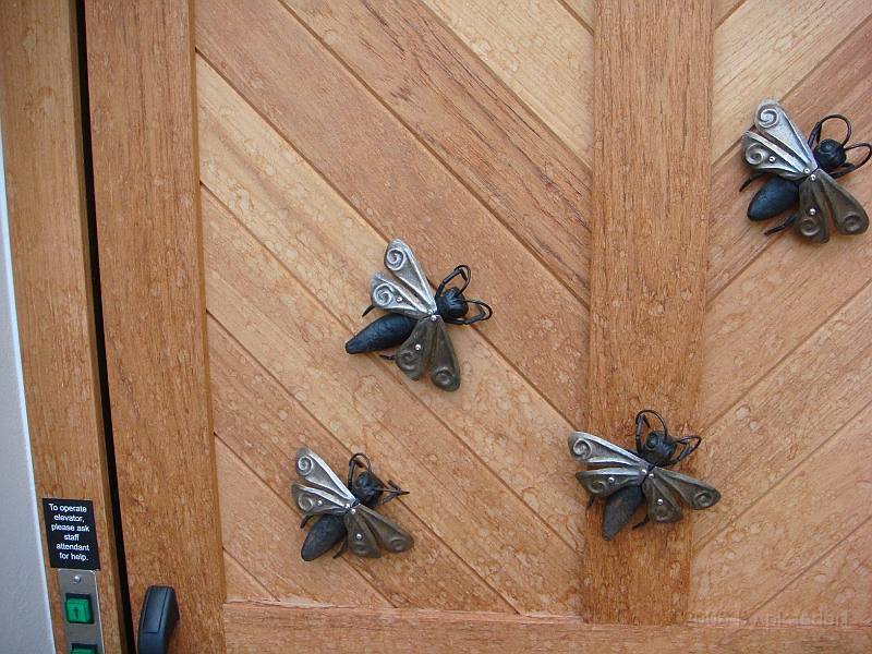 442 Longwood Gardens [2008 August 23].JPG - Longwood Gardens in Pennsylvania